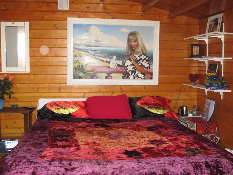 אמסטרדם Xaviera'S Bed And Breakfast מראה חיצוני תמונה
